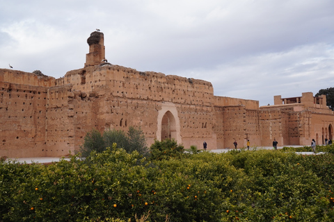 From Taghazout or Agadir: Marrakech Guided Day Trip Tour from Agadir