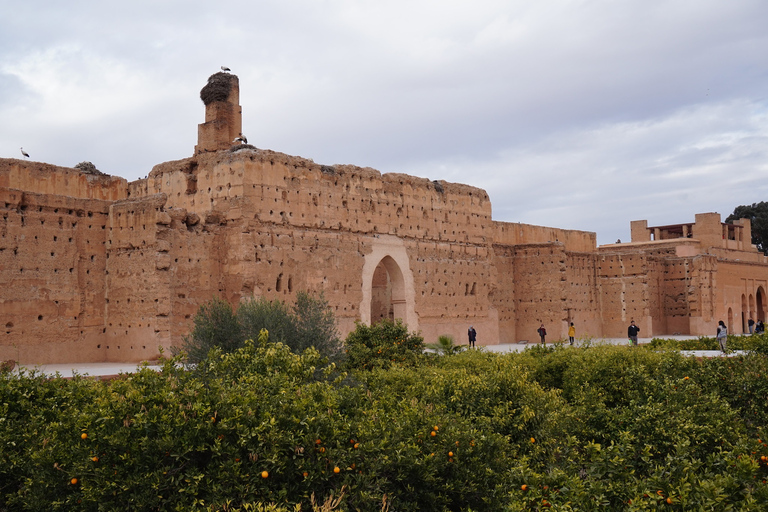 Van Taghazout of Agadir: begeleide dagtocht door MarrakeshExcursie vanuit Agadir