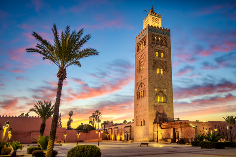 De Taghazout ou Agadir: Passeio guiado de um dia em MarrakechTour de Agadir