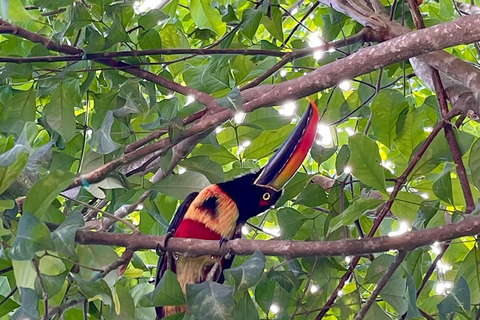 Manuel Antonio Park: Guided Walking Tour with a NaturalistPrivate Tour