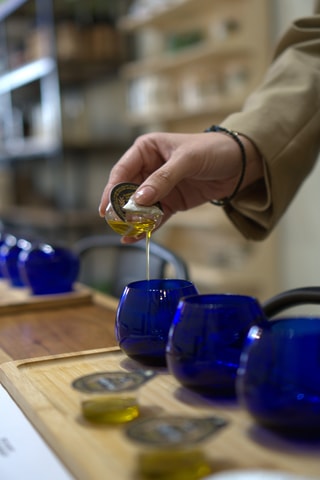 Chania: Olive Grove & Mill Visit, Tasting & Cooking Class