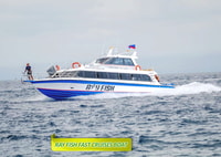 Bali Sanur, Ferry Express de un solo sentido hacia/desde Nusa Penida - Housity