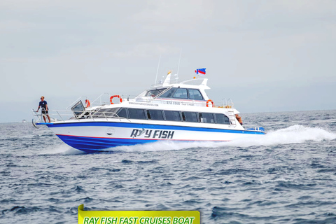 Bali Sanur: One-Way Express Ferry to/from Nusa Penida Sanur to Nusa Penida Ticket for All Passports