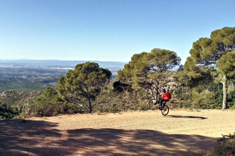Valencia: Excursión privada en bicicleta de montaña en la Sierra CalderonaBicicleta de montaña normal