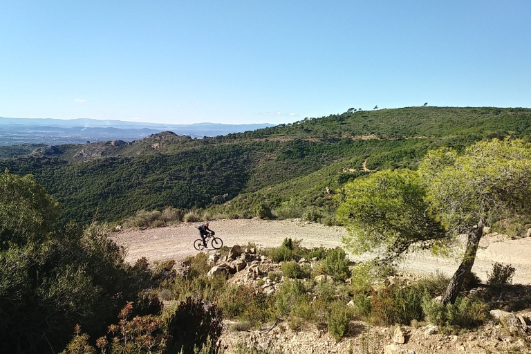 Walencja: Prywatna wycieczka na rowerze górskim w Sierra CalderonaElektryczny rower górski
