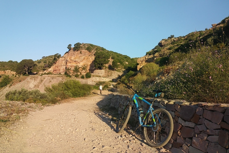 Valencia: privé mountainbiketocht in Sierra CalderonaGewone mountainbike