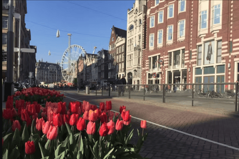 Amsterdam : L'histoire de l'histoire et de la culture Visite à piedVisite guidée de l'histoire d'Amsterdam