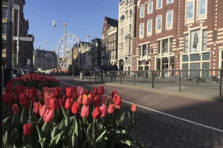 Amsterdam : L'histoire de l'histoire et de la culture Visite à piedVisite guidée de l'histoire d'Amsterdam