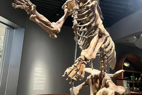 Shenzhen: Natural History Museum Landmark Priority Pass