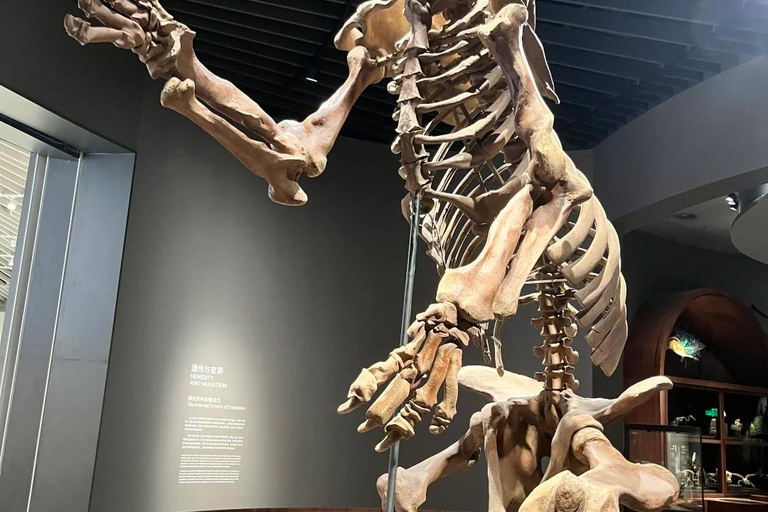 Shenzhen: Natural History Museum Landmark Priority Pass