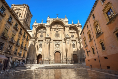 Granada: rondleiding kathedraal en koninklijke kapel met kaartjesKathedraal en Capilla Real. Grupo premium en Español