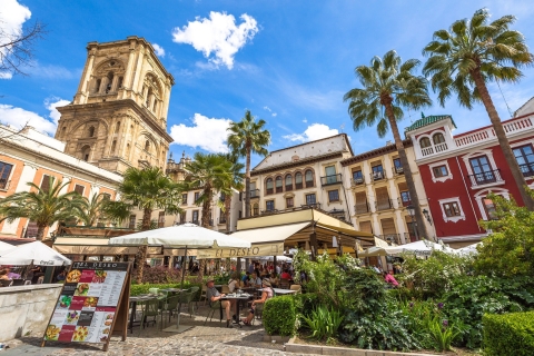 Granada: Catedral y Capilla Real Visita Guiada con EntradasCatedral y Capilla Real Visita Premium Francés
