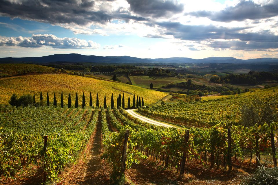 From Siena: Chianti and San Gimignano Sunset Tour | GetYourGuide