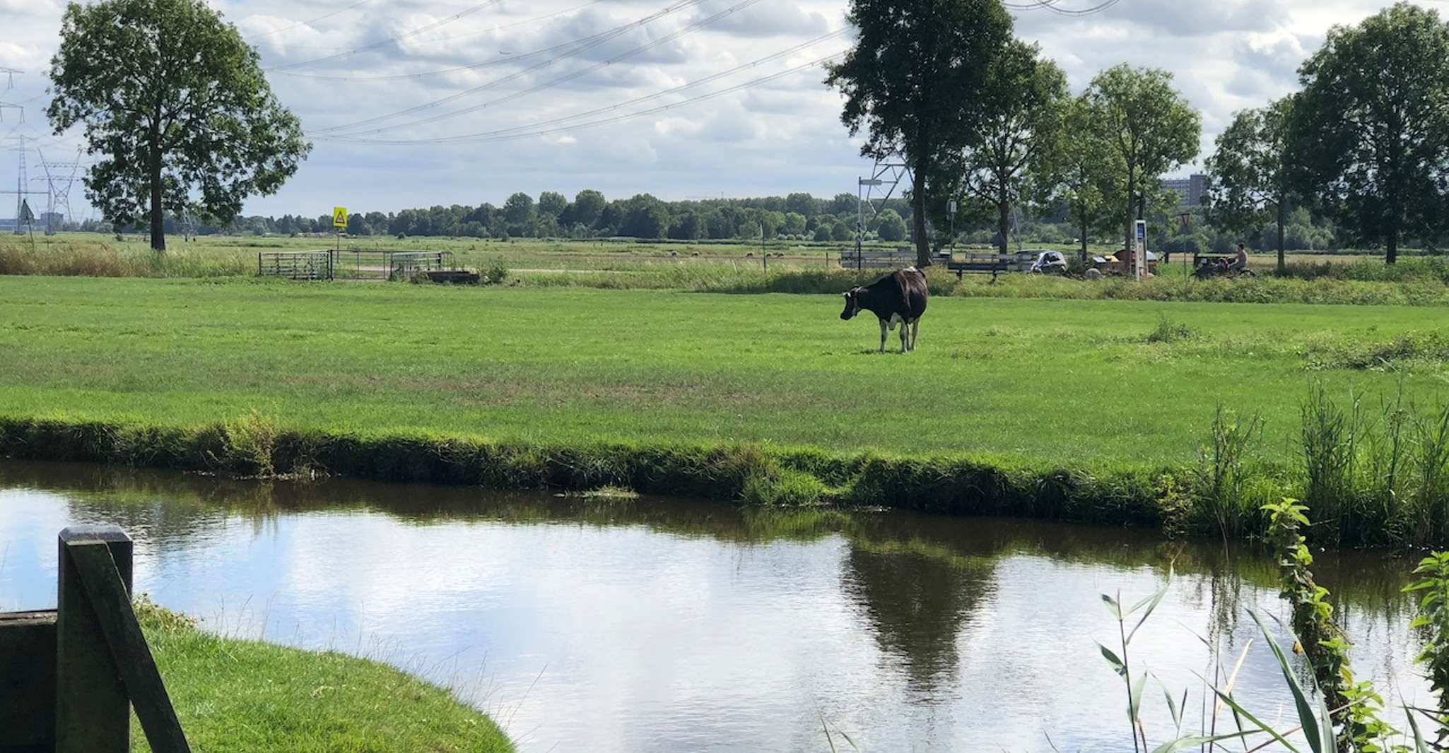 Amsterdam: Zaanse Schans Windmills & Zaandam E-Bike Tour photo 16