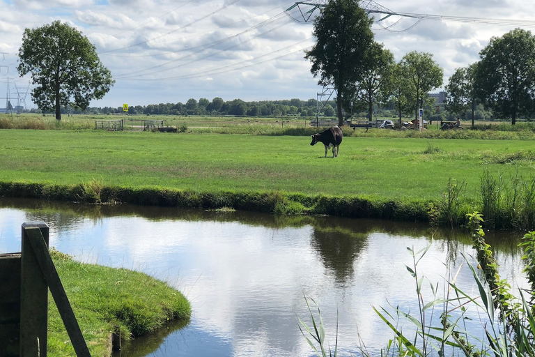 De Amsterdã: Tour guiado de E-Bike por Zaanse Schans e Zaandam