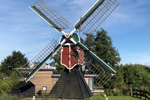 Desde Ámsterdam: Zaanse Schans y Zaandam en bicicleta eléctricaBicicleta pequeña: 1,55-1,73 m