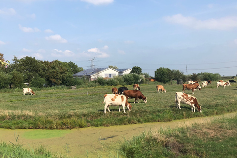 From Amsterdam: Guided Zaanse Schans &amp; Zaandam E-Bike Tour