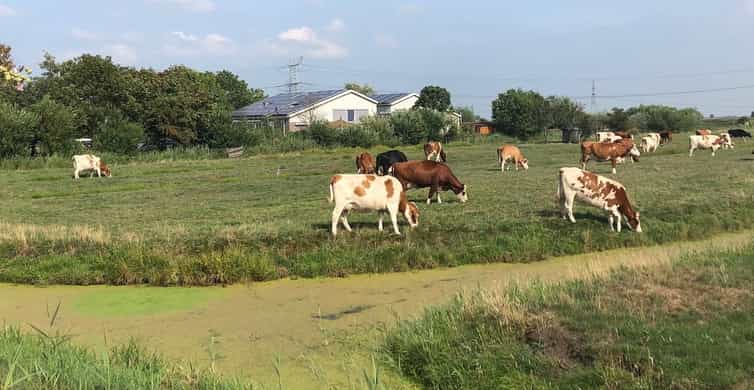 Amsterdam: Zaanse Schans Windmills & Zaandam E-Bike Tour photo 19