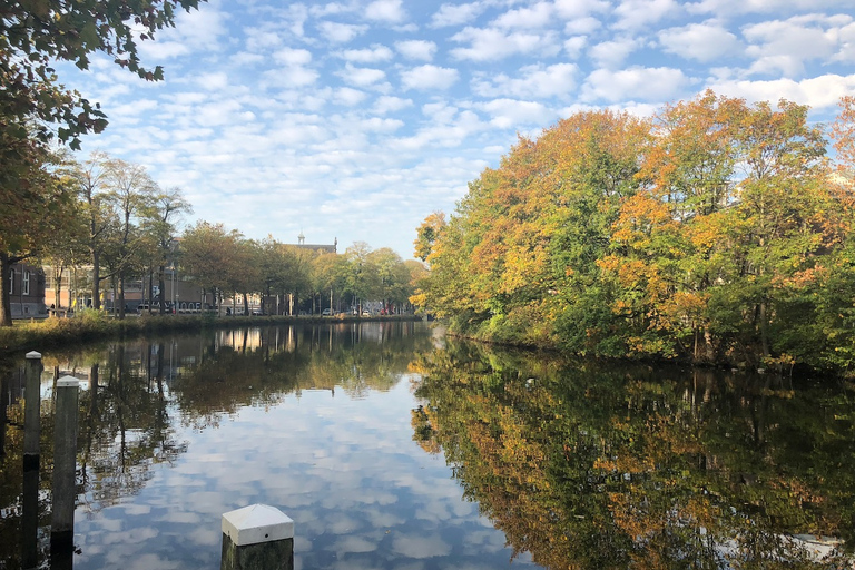 From Amsterdam: Guided Zaanse Schans &amp; Zaandam E-Bike Tour