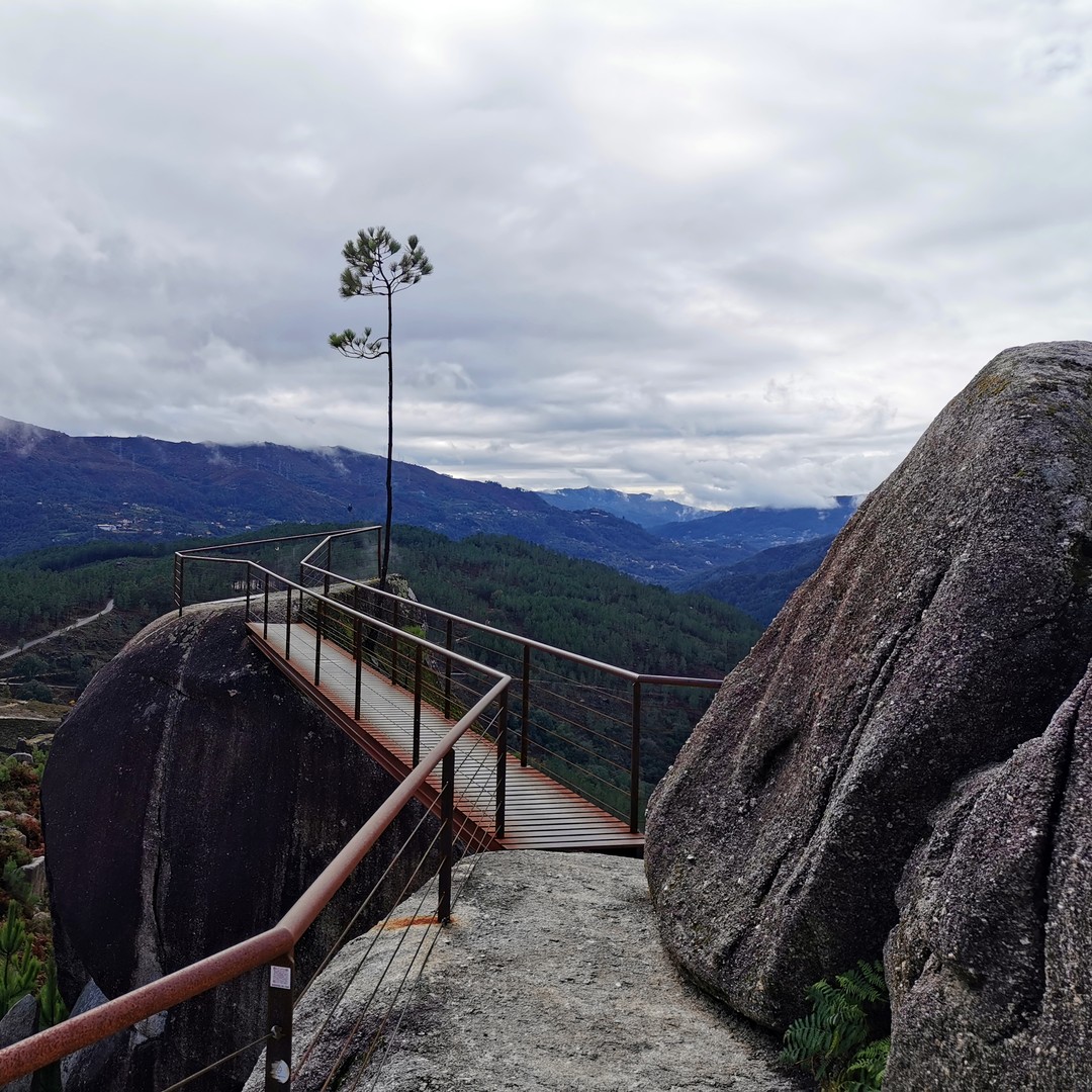 Colagem de mídia