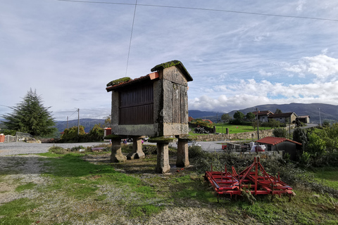 Desde Oporto: Excursión al Parque Peneda-Gerês con AlmuerzoOporto: tour en 4x4 por el parque de Gerês con almuerzo