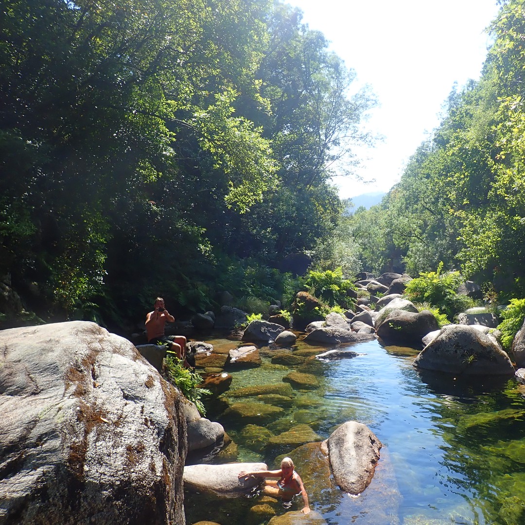 Colagem de mídia