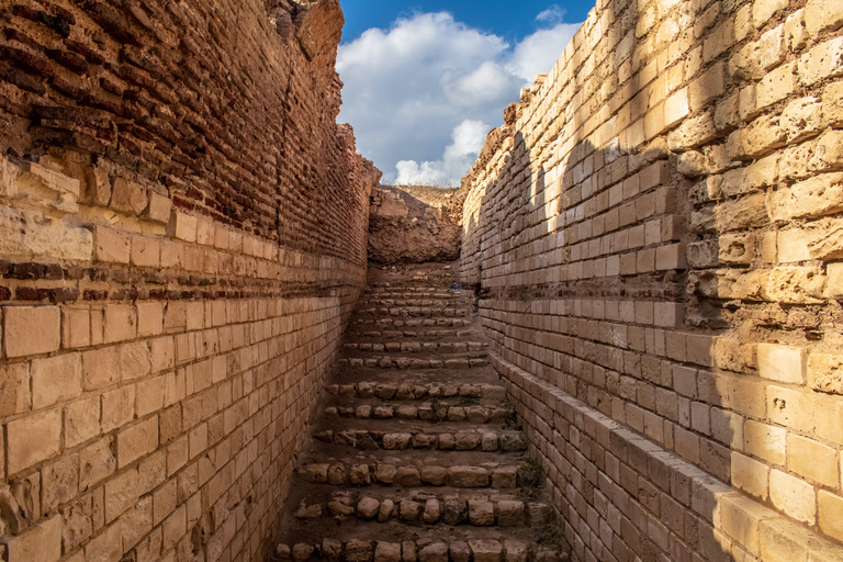 Private Ganztagestour durch Alexandria