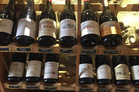 Marseille: Avignon en Côtes du Rhône wijnproeverij dagtour