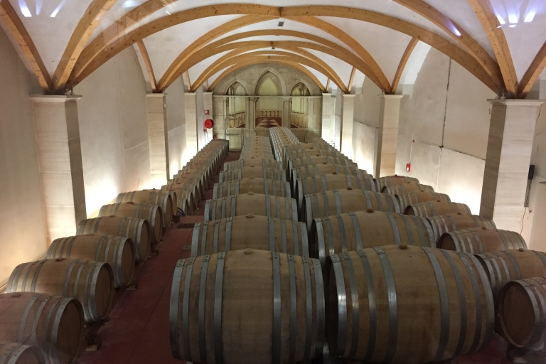 Marsylia: jednodniowa degustacja wina w Awinionie i Côtes du Rhône