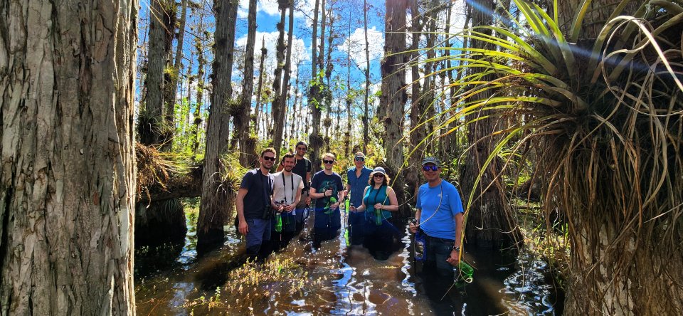 Von Miami aus: Everglades Tour mit Wet Walk, Bootsfahrten und Mittagessen