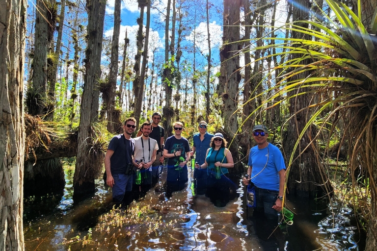 Miami : Excursion d'une journée dans les Everglades avec promenade humide, sorties en bateau et déjeuner