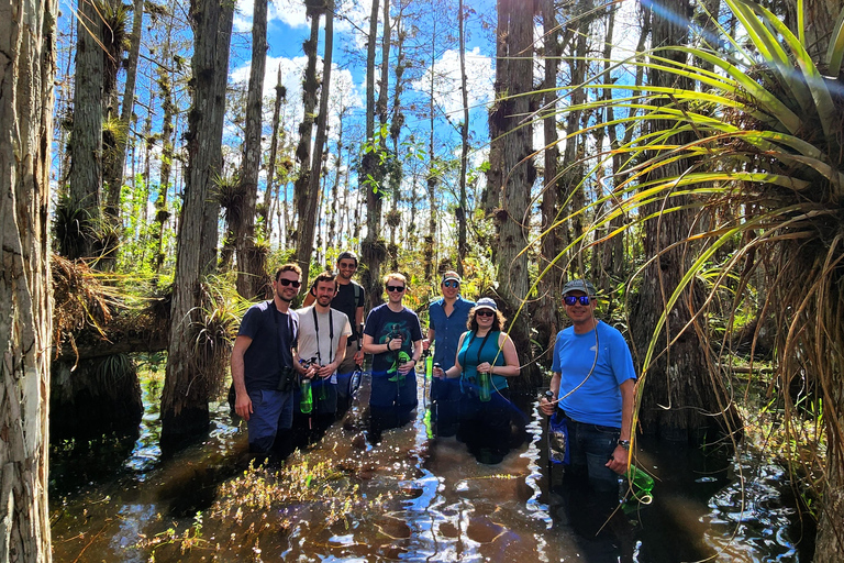 Miami : Excursion d'une journée dans les Everglades avec promenade humide, sorties en bateau et déjeuner