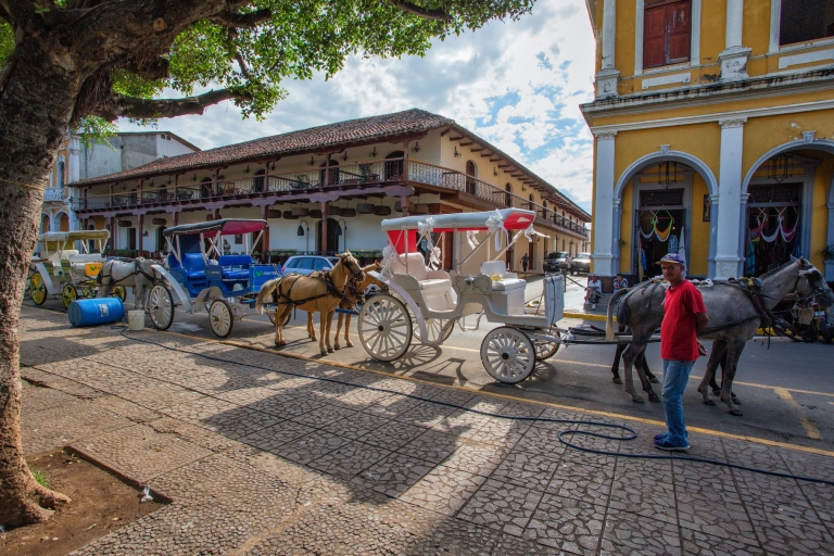 Paseo Histórico Colonial de Granada + Coche de caballos