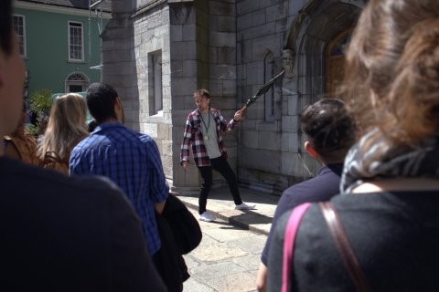 Dublin: Wycieczka piesza po atrakcjach i ukrytych klejnotach