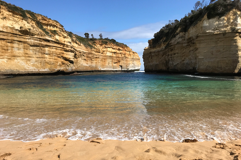 De Melbourne: Excursão de microônibus pela Great Ocean Road em sentido inversoDe Melbourne: excursão de microônibus pela Great Ocean Road em sentido inverso