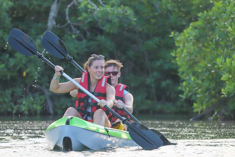 Cancun Sunset Kayak Experience in the Mangroves GetYourGuide