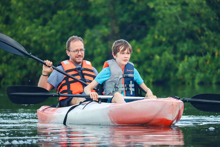 Cancun: Sunset Kayak Experience in the Mangroves