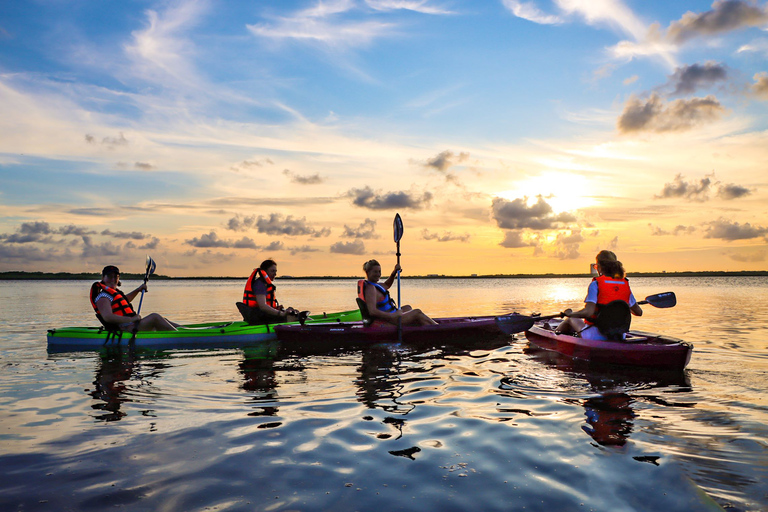 Cancún : expérience de kayak au coucher du soleil dans les mangroves