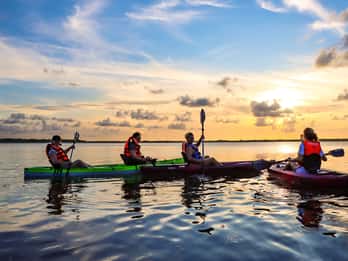 Cancún : expérience de kayak au coucher du soleil dans les mangroves