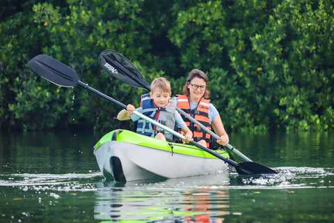 Cancún: experiencia de kayak al atardecer en los manglares