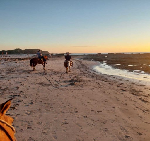 Visit Nosara Private Horseback Riding Tour in Playa Guiones