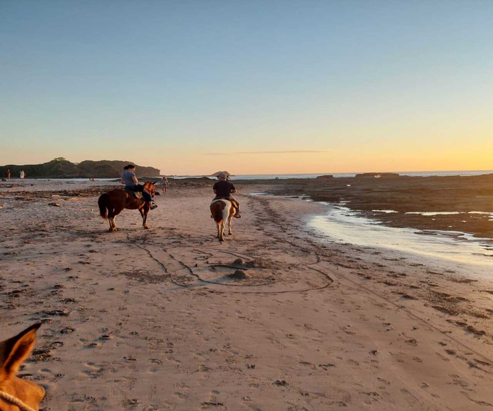 Nosara: Private Horseback Riding Tour