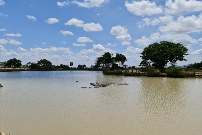 Da Zanzibar: Safari di un giorno a MikumiSafari condiviso