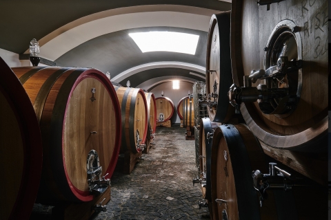 Wezuwiusz: wycieczka po winnicach z degustacją wina i lunchemKlasyczna degustacja wina