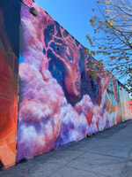New York City, Bushwick francese e Williamsburg Tour - Hizvo