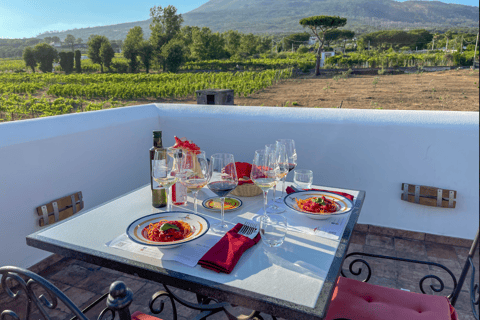 Mont Vésuve : Visite d'un vignoble avec dégustation de vins et déjeunerDégustation de vins classiques