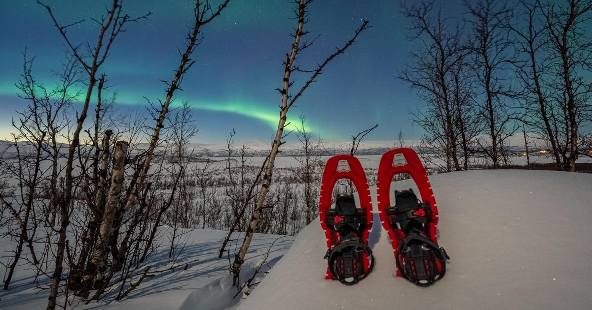 Abisko Aurora Snowshoeing GetYourGuide