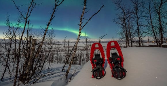 Abisko: Aurora Snowshoeing