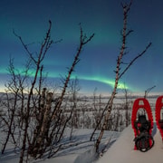 Abisko: Aurora Snowshoeing