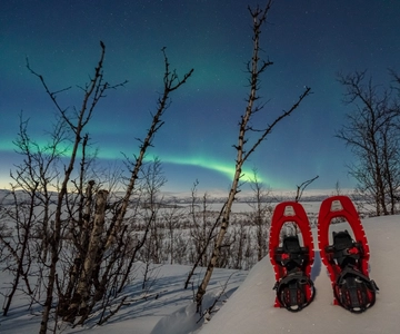 Abisko: Aurora Snowshoeing
